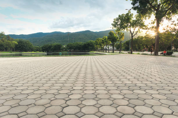 Best Driveway Pavers Near Me  in Auburn, IL