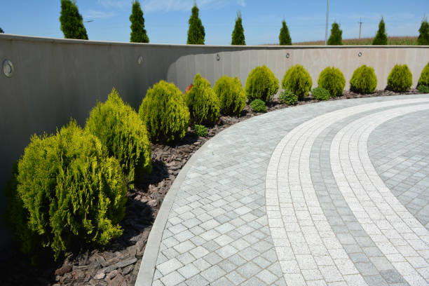 Best Driveway Repair Near Me  in Auburn, IL